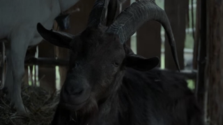 <i>The Witch</i> Re-Ups Its Satanic Cred By Re-Expanding to 666 Theaters
